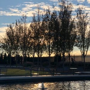 Meet your Posher, Adrianne